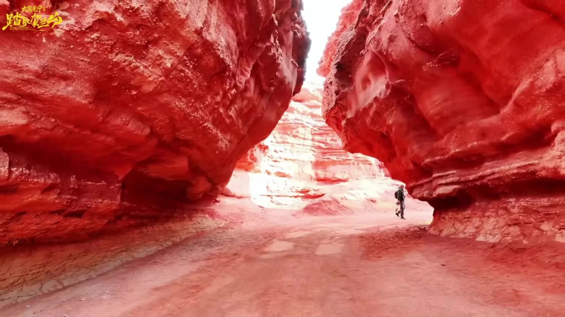 Watch the landscape change along the road