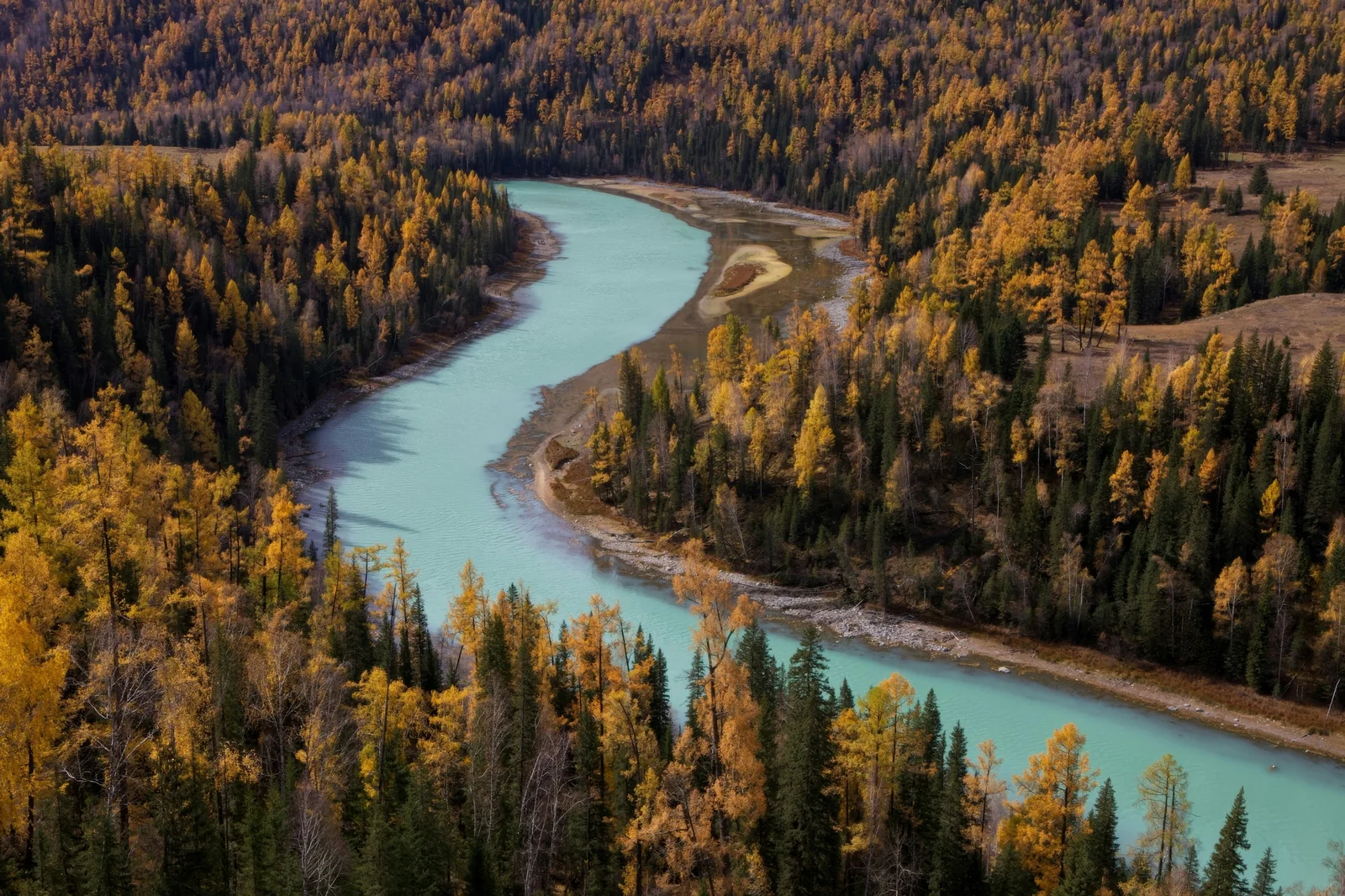 An autumn river bend in Kanas