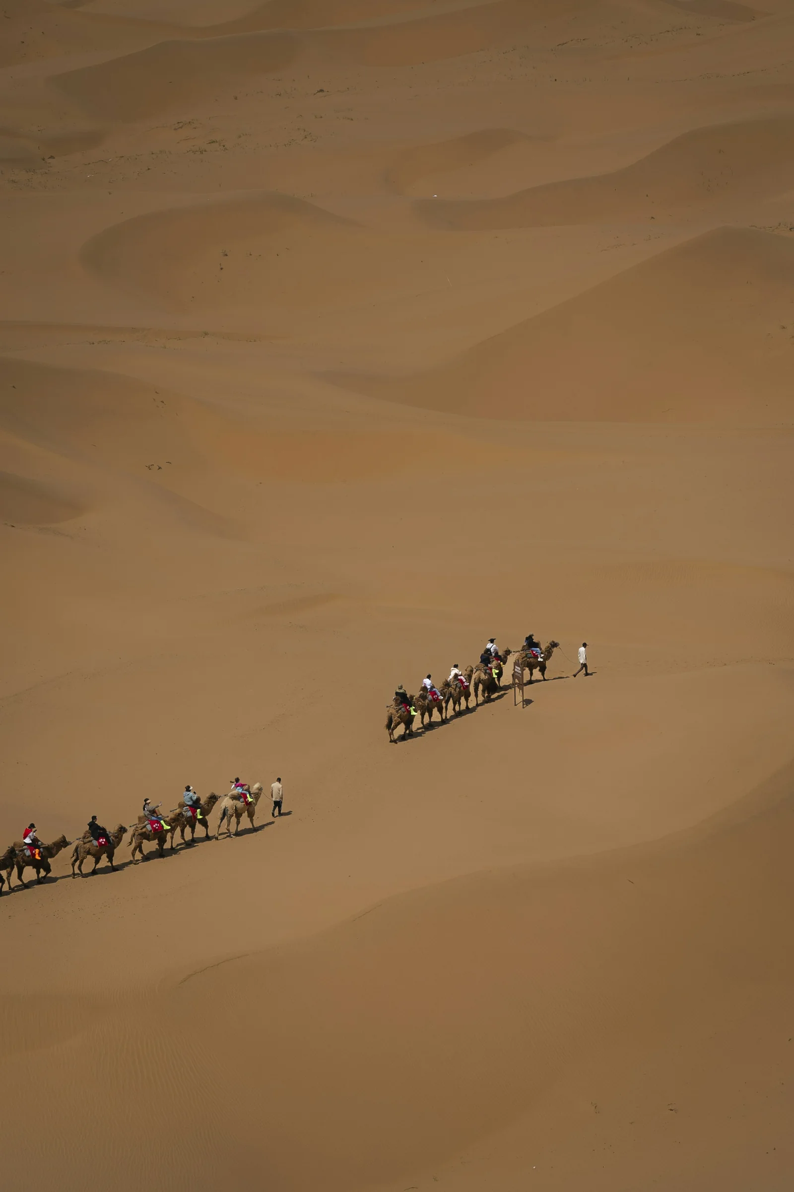 Desert in Zhongwei, Ningxia; regional reference, not the product camp