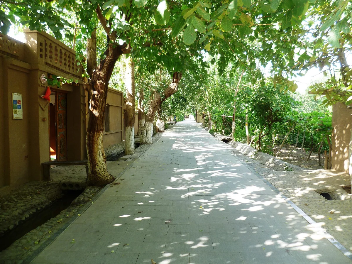 Grape Valley, Turpan · Sunlit paths beneath the vines