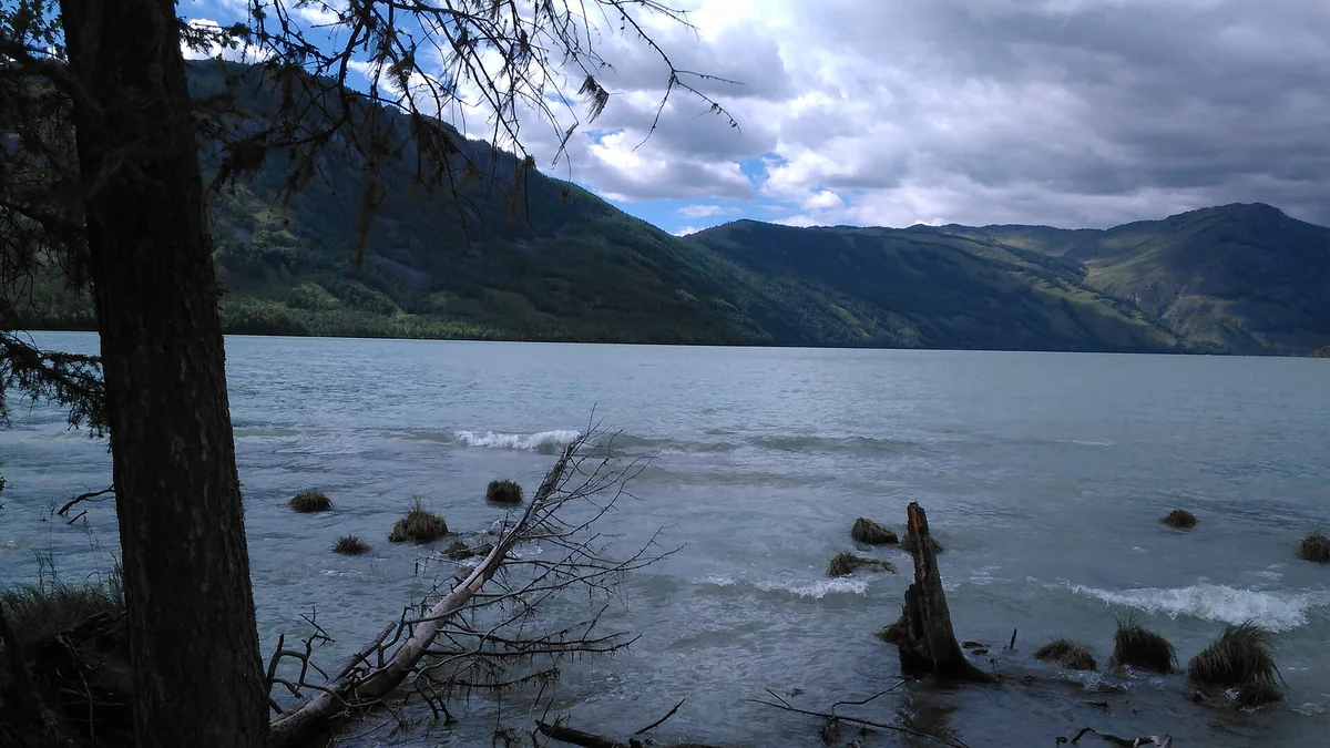 A quiet lakeshore of trees and stones at Kanas before departure.