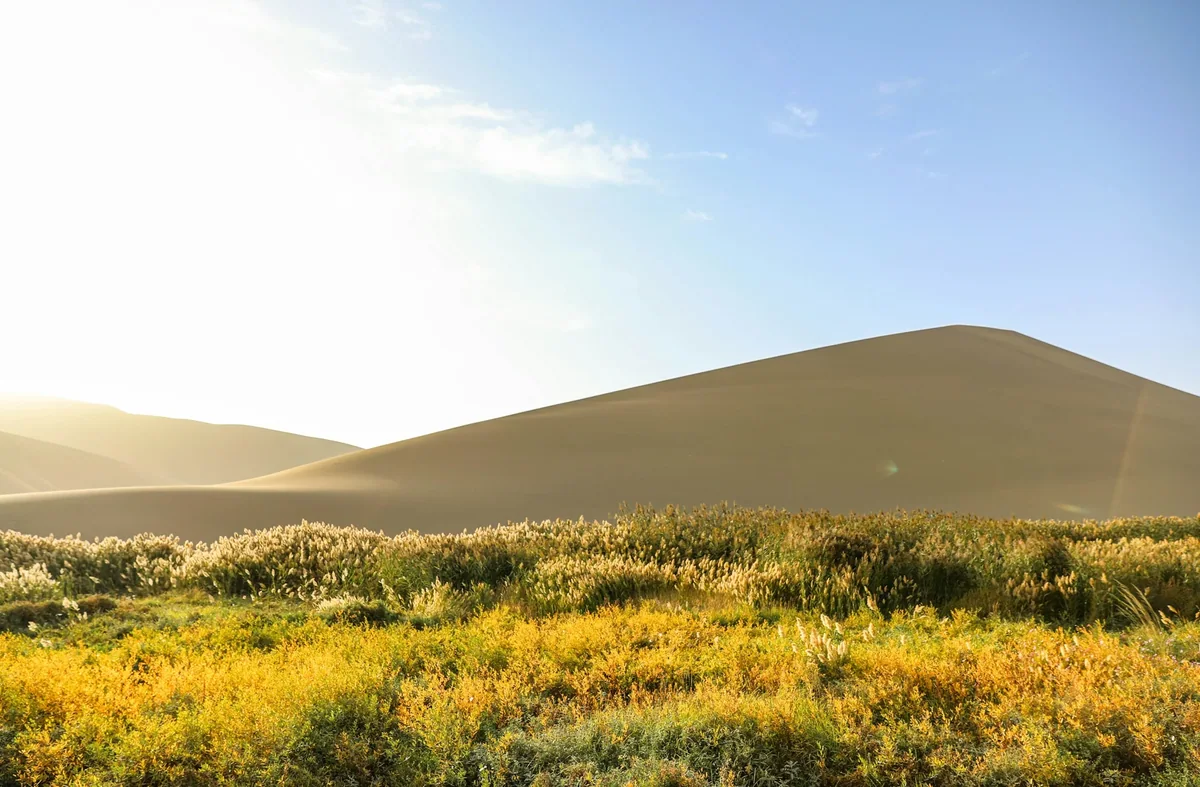 Dunes and oasis · Dunhuang