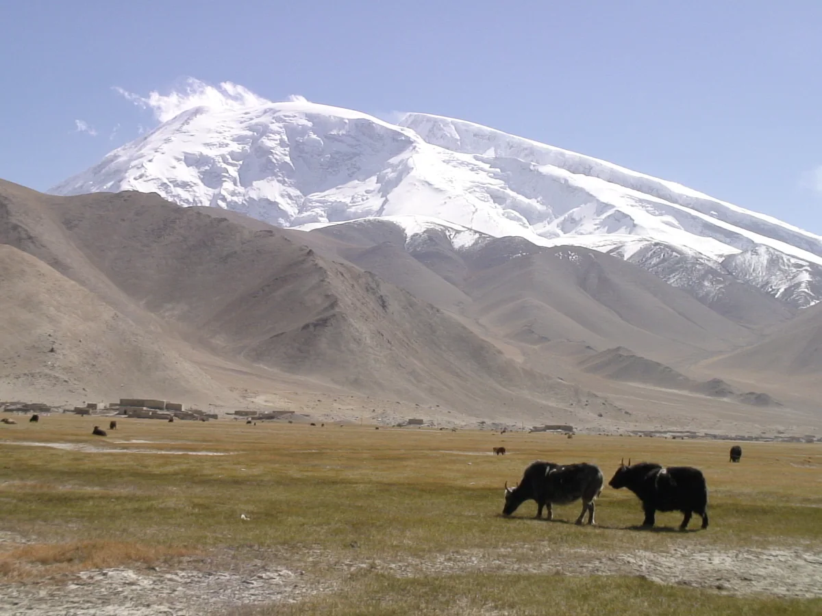 Snow peaks and grazing land around Xinjiang’s Karakul Lake.