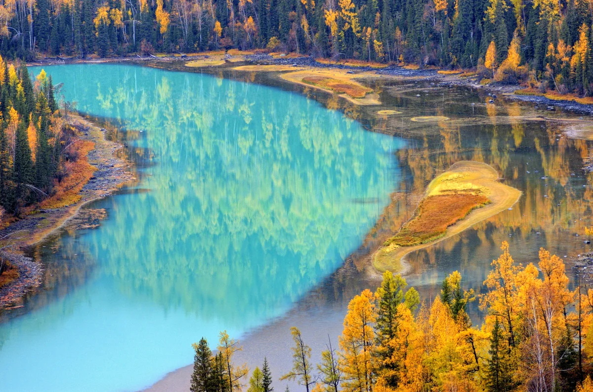 Autumn colour around Moon Bay: golden trees beside blue-green water.