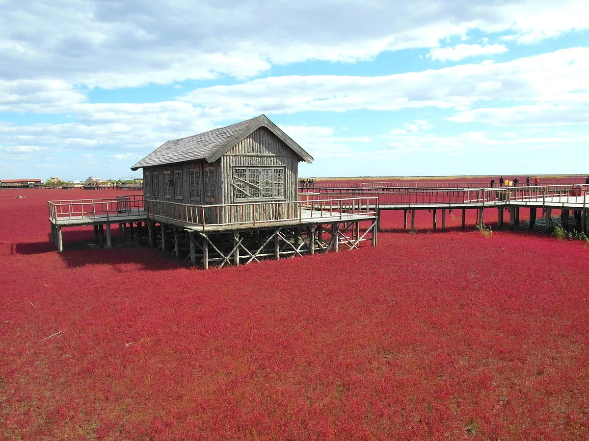 Panjin Red Beach · Autumn colour around the wetland boardwalk